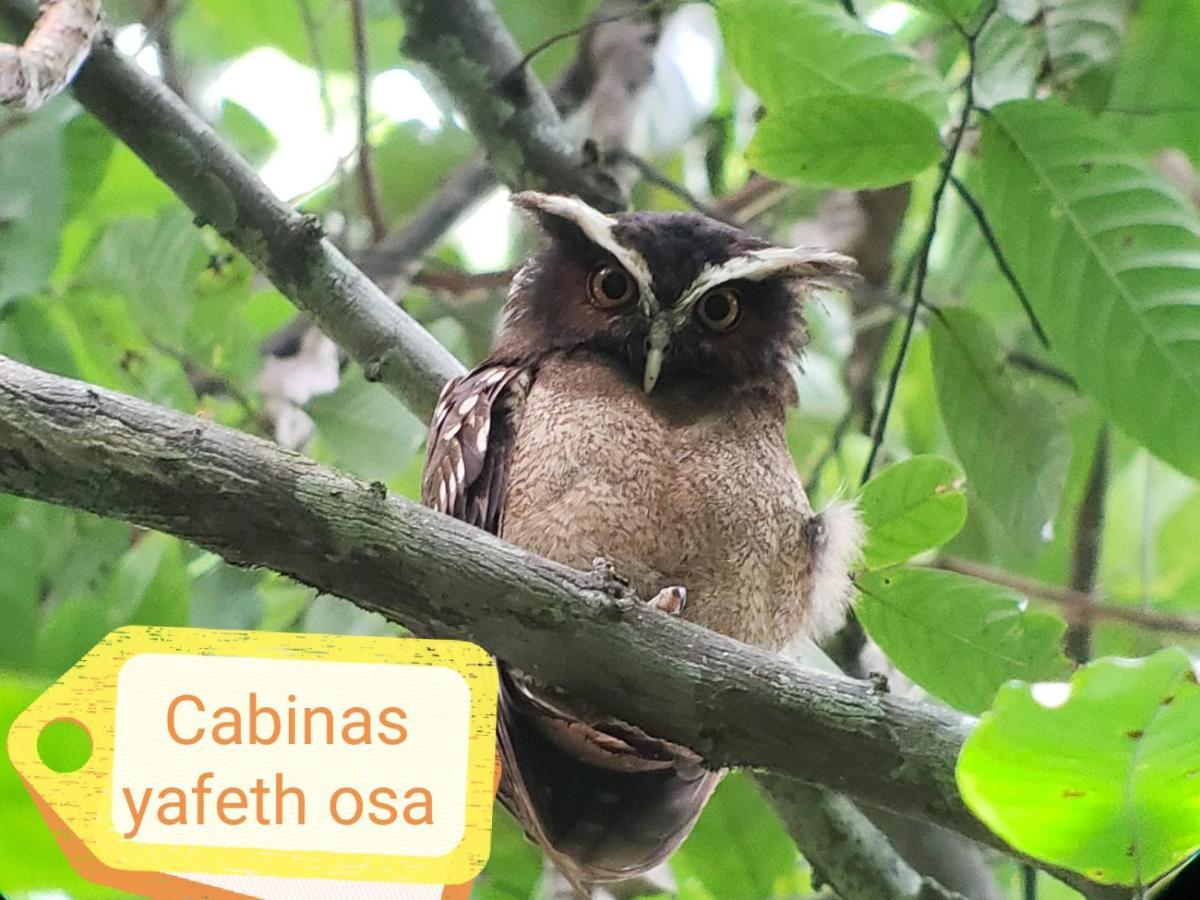 Cabins Yafeth Osa Драке Экстерьер фото