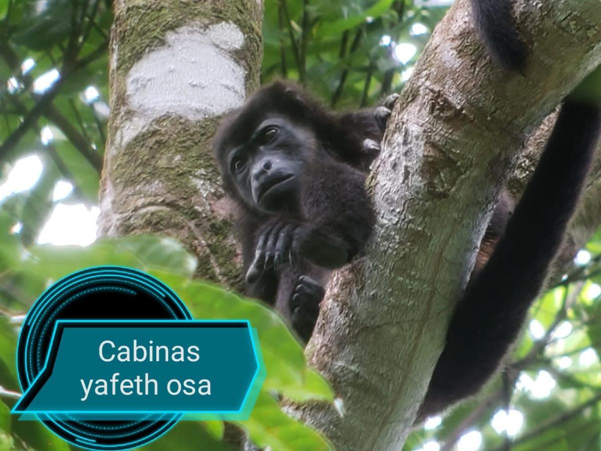 Cabins Yafeth Osa Драке Экстерьер фото
