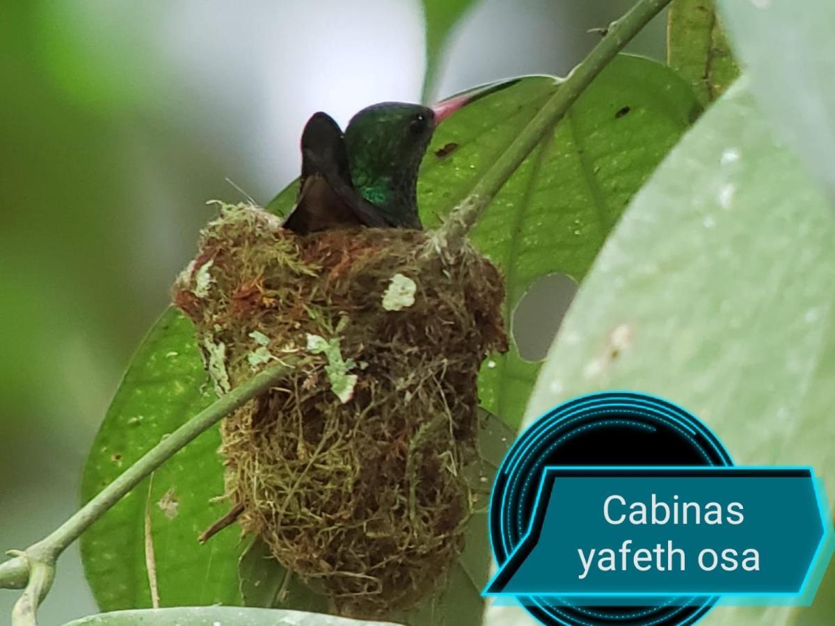 Cabins Yafeth Osa Драке Экстерьер фото